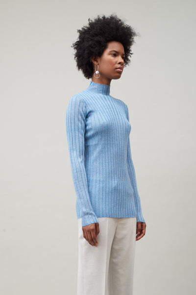 Nomia Sheer Knit Turtleneck