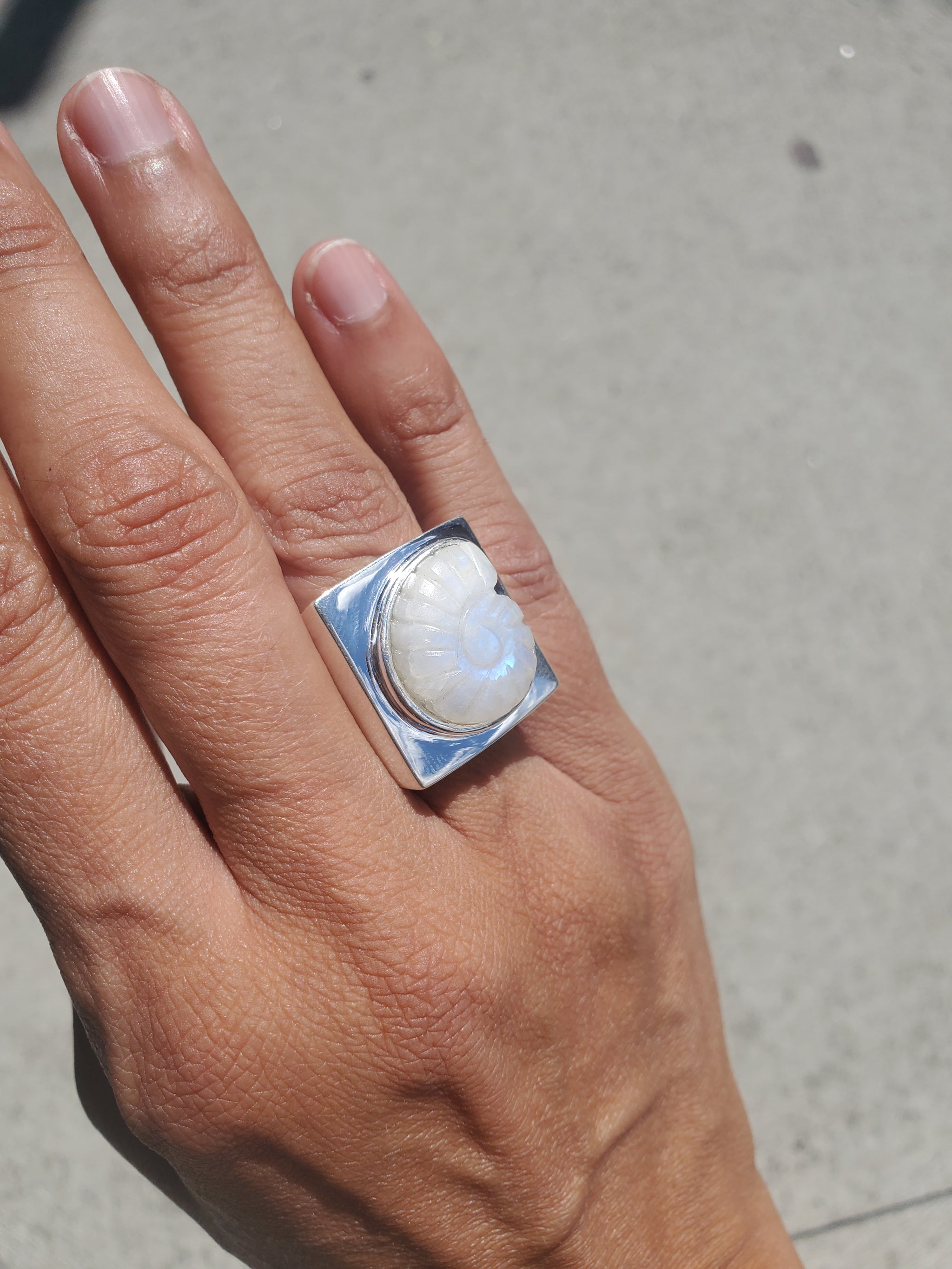 Carved Nautilus Stone Silver ring - Rainbow Moonstone – NOMIA